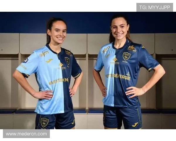 勒阿弗尔俱乐部历史沿革与成就解析:法国足球传统力量的崛起与发展 勒阿弗尔俱乐部历史沿革与成就解析:法国足球传统力量的崛起与发展