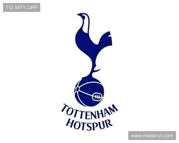 托特纳姆热刺俱乐部的崛起历程与未来发展潜力分析
